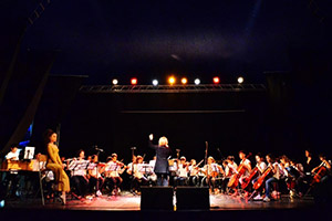 Orchestra Giovanile Musica Insieme